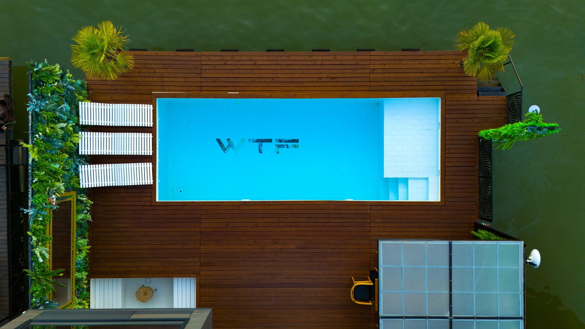 WTF Lounge